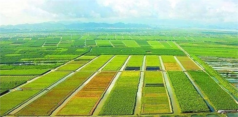 淺談“十三五”我國現代農業發展趨勢