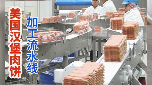 美國漢堡肉餅農產品加工廠,牛肉流水線攪碎壓制快餐肉餅