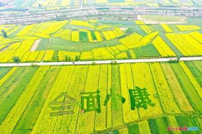 甘肅省:2020年臨夏州農(nóng)業(yè)農(nóng)村工作總結(jié),沃野千里涌春潮!