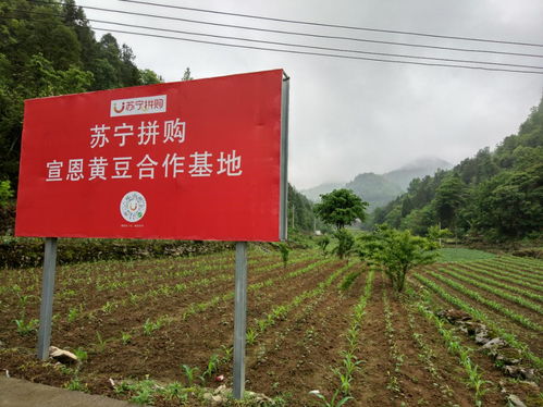 聚焦鄉(xiāng)村振興,企業(yè)家代表如何建言和行動(dòng)
